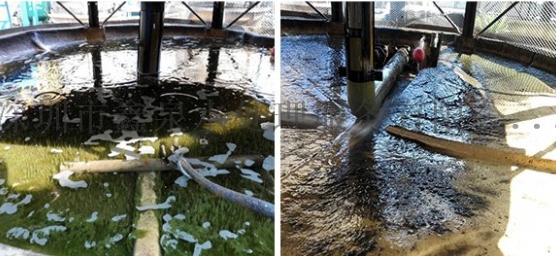 循环水系统有水垢淤泥菌藻，找开景净化科技处理-东莞空调水处理-东莞空调水处理