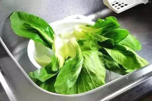 深圳蔬菜配送|深圳农产品配送|深圳送菜公司-深圳市欣美农副产品配送有限公司