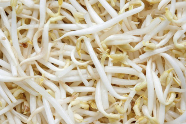 深圳蔬菜配送|深圳农产品配送|深圳送菜公司-深圳市欣美农副产品配送有限公司