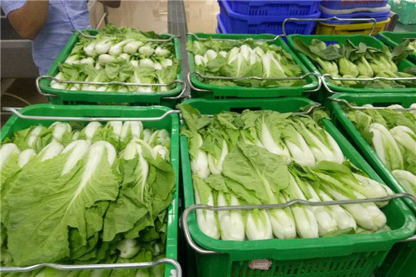 深圳蔬菜配送|深圳农产品配送|深圳送菜公司-深圳市欣美农副产品配送有限公司