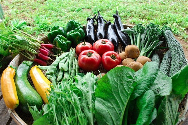 深圳蔬菜配送|深圳农产品配送|深圳送菜公司-深圳市欣美农副产品配送有限公司