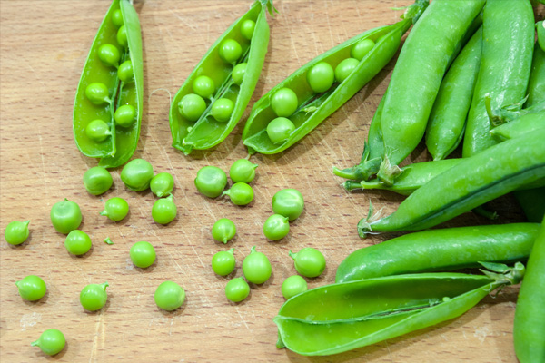 深圳蔬菜配送|深圳农产品配送|深圳送菜公司-深圳市欣美农副产品配送有限公司