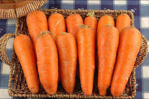 深圳蔬菜配送|深圳农产品配送|深圳送菜公司-深圳市欣美农副产品配送有限公司