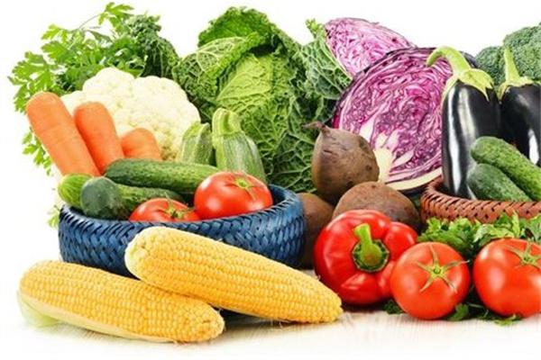 福州蔬菜配送公司告诉你做蔬菜配送需要哪些设备     -欣美农产品（福州）有限公司