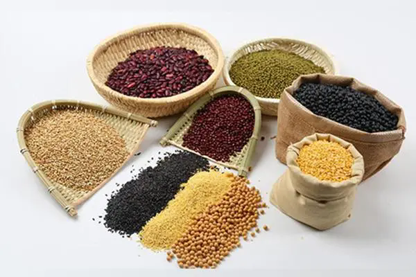 深圳蔬菜配送|深圳农产品配送|深圳送菜公司-深圳市欣美农副产品配送有限公司