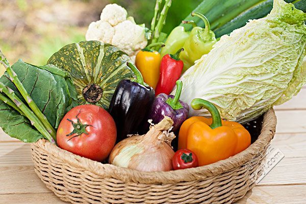 深圳蔬菜配送|深圳农产品配送|深圳送菜公司-深圳市欣美农副产品配送有限公司