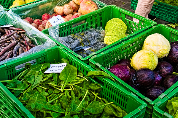 深圳蔬菜配送|深圳农产品配送|深圳送菜公司-深圳市欣美农副产品配送有限公司