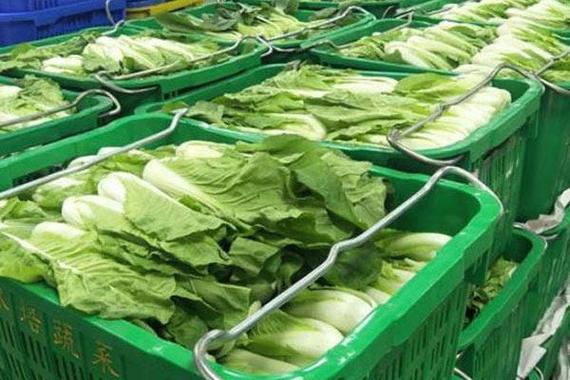 深圳蔬菜配送|深圳农产品配送|深圳送菜公司-深圳市欣美农副产品配送有限公司