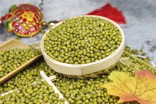 深圳蔬菜配送|深圳农产品配送|深圳送菜公司-深圳市欣美农副产品配送有限公司