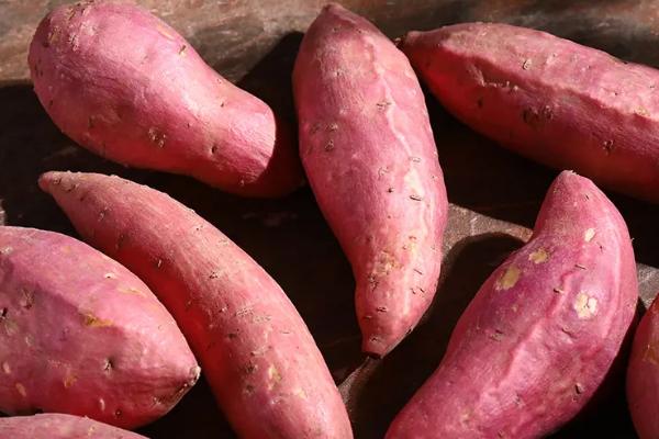 深圳蔬菜配送|深圳农产品配送|深圳送菜公司-深圳市欣美农副产品配送有限公司