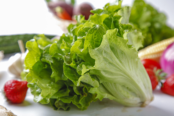 深圳蔬菜配送|深圳农产品配送|深圳送菜公司-深圳市欣美农副产品配送有限公司