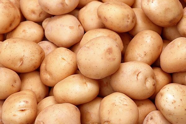 深圳蔬菜配送|深圳农产品配送|深圳送菜公司-深圳市欣美农副产品配送有限公司