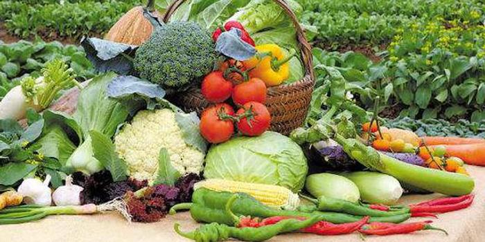 蔬菜配送公司如何保障好蔬菜的食品安全問題?    -欣美農產品（福州）有限公司