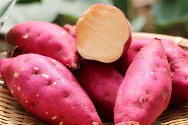 福州农产品配送讲述红薯的功效与作用及营养价值      -欣美农产品（福州）有限公司