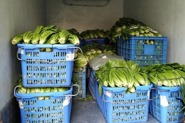 深圳蔬菜配送|深圳农产品配送|深圳送菜公司-深圳市欣美农副产品配送有限公司