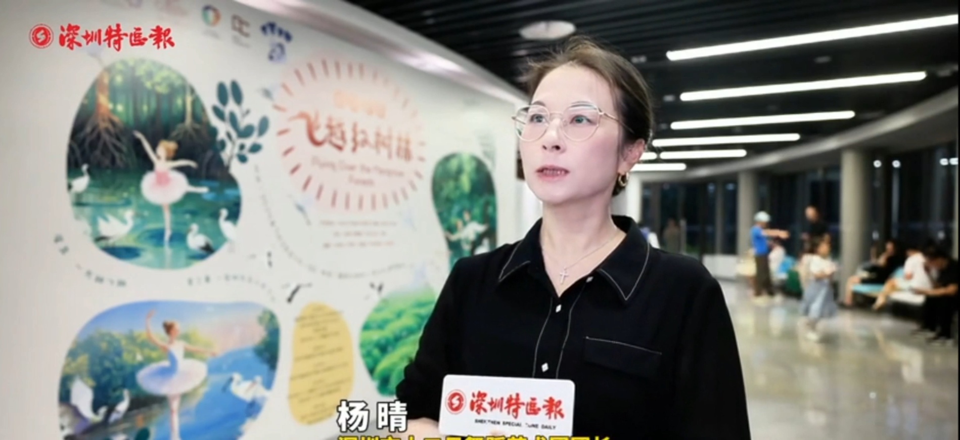 特区报报道原创童话芭蕾《飞越红树林》