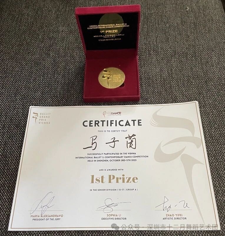 十二月芭蕾美育教育篇——实现梦想的摇篮