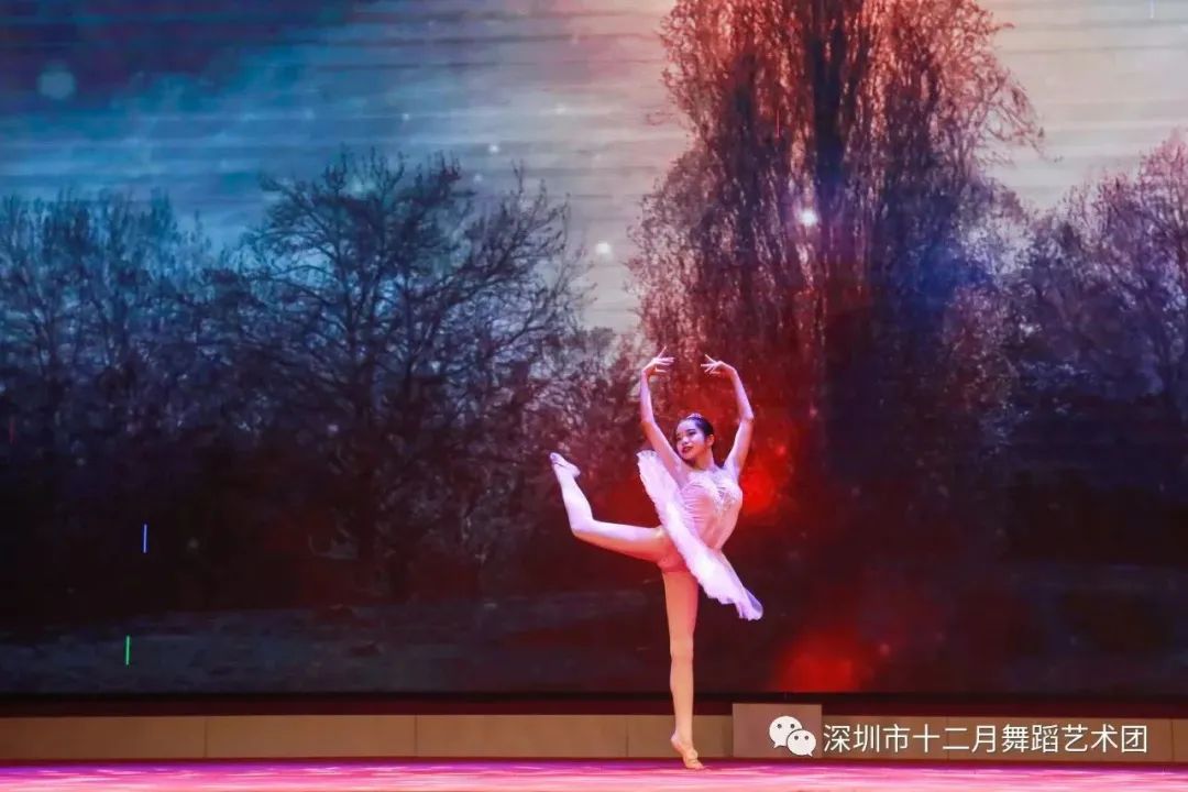 演出回顾“2023年度深圳市公益文化进社（进万家）”下基层系列活动