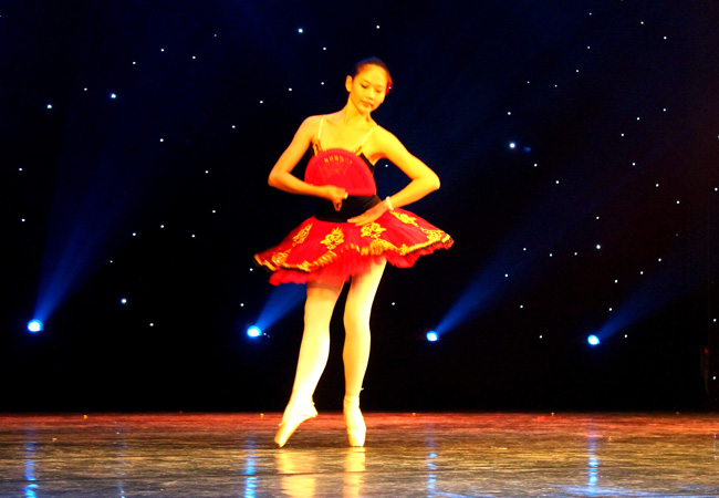 2013深圳市第十一届“鹏城金秋”社区文化艺术节