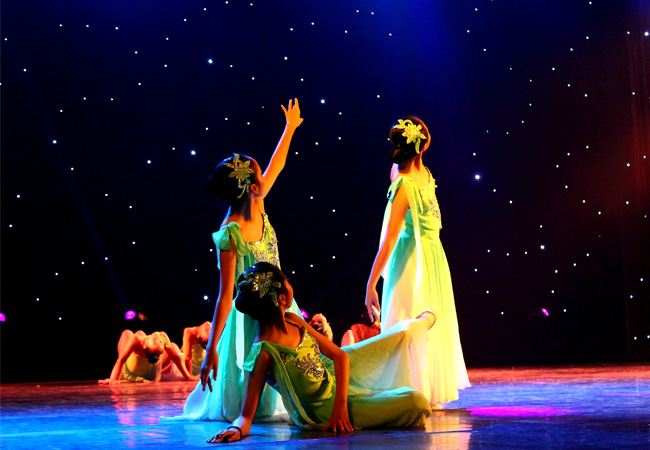 2013深圳市第十一届“鹏城金秋”社区文化艺术节