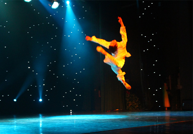 深圳市第十一届“鹏城金秋”社区文化艺术节荣获社团文艺汇演三等奖 专业演员望老虎获得专业组优秀演员奖