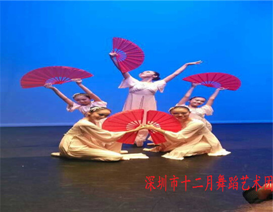 维也纳大赛获佳绩