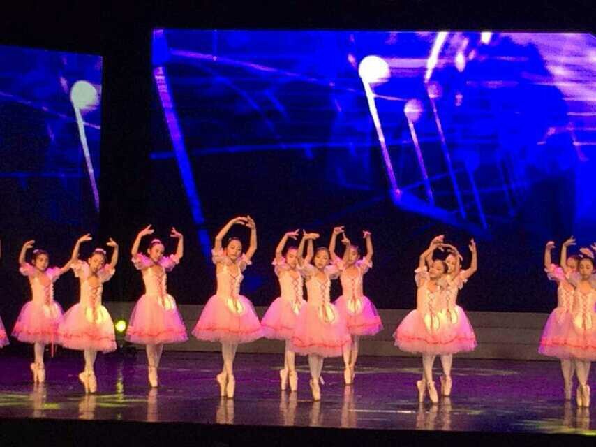 2014年12月28日“放飞梦想  快乐起航”2015迎新公益晚会