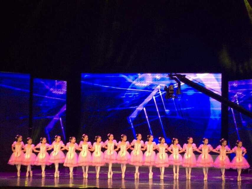 2014年12月28日“放飞梦想  快乐起航”2015迎新公益晚会