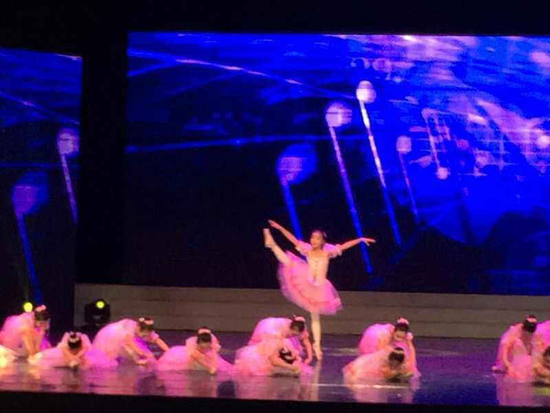 2014年12月28日“放飞梦想  快乐起航”2015迎新公益晚会