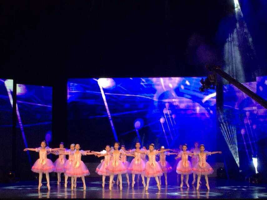 2014年12月28日“放飞梦想  快乐起航”2015迎新公益晚会