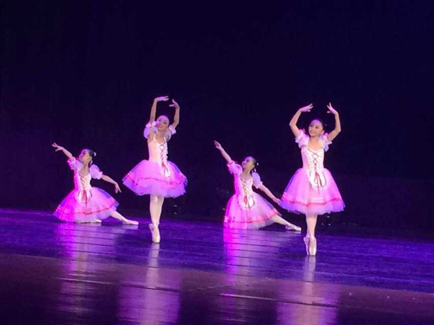 2015年1月31日首届两岸四地少儿歌舞艺术月（简称“艺术月”）活动之“花儿朵朵 舞向未来”两岸四地少儿舞蹈大赛