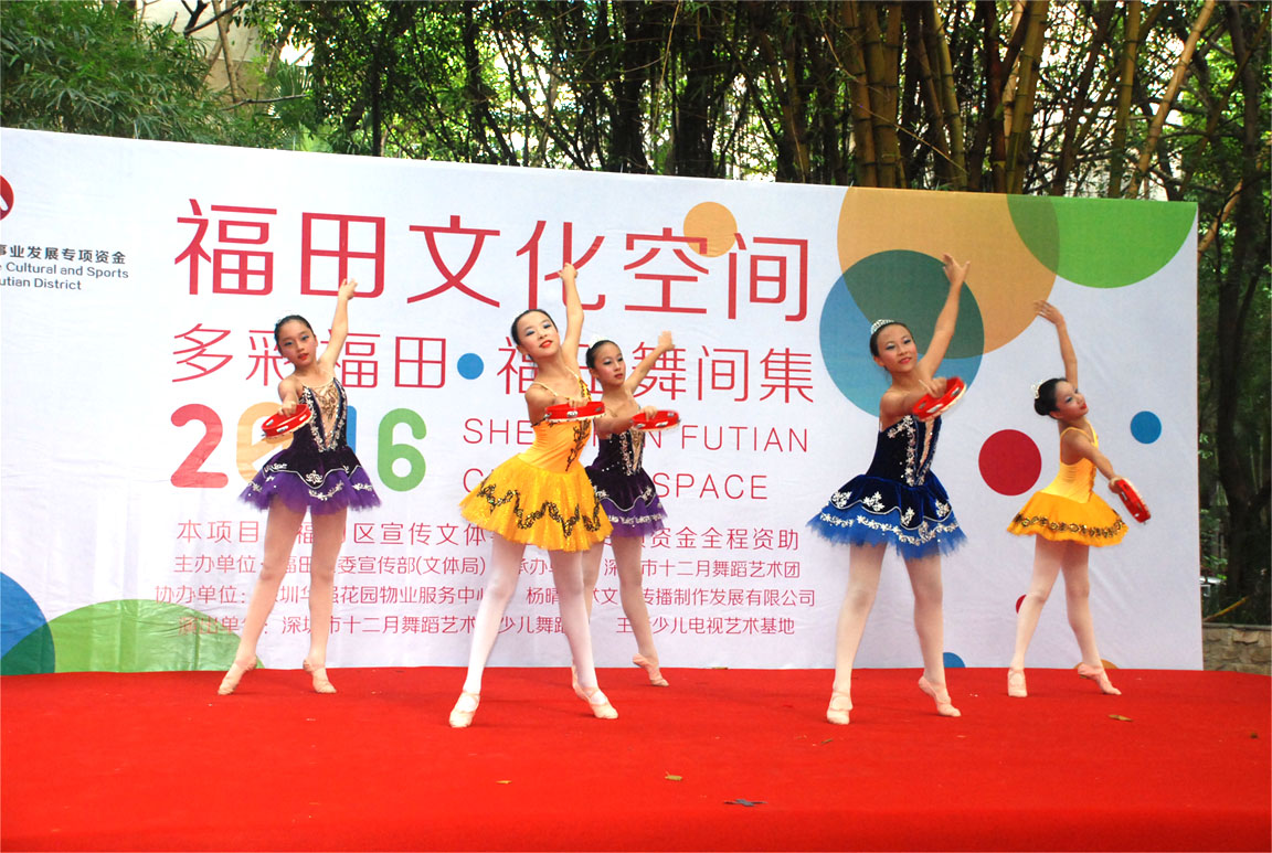 2016“舞彩福田”高雅艺术进社区