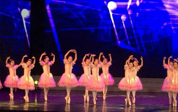 
2014年12月28日“放飞梦想  快乐起航”2015迎新公益晚会