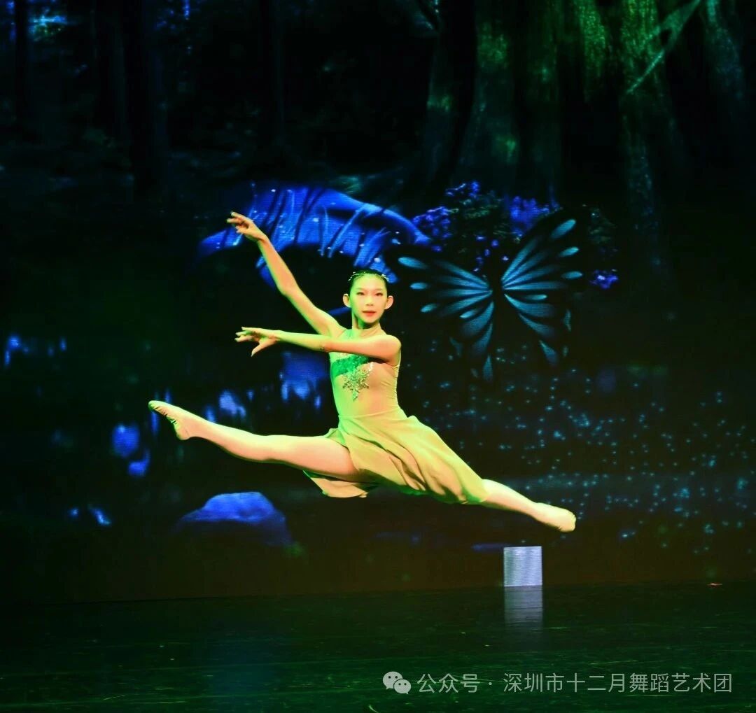 1761377876413917.jpg 1761377876413917.jpg