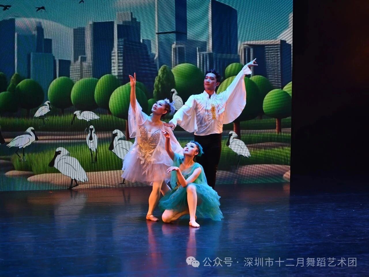 1761377877934173.jpg 1761377877934173.jpg