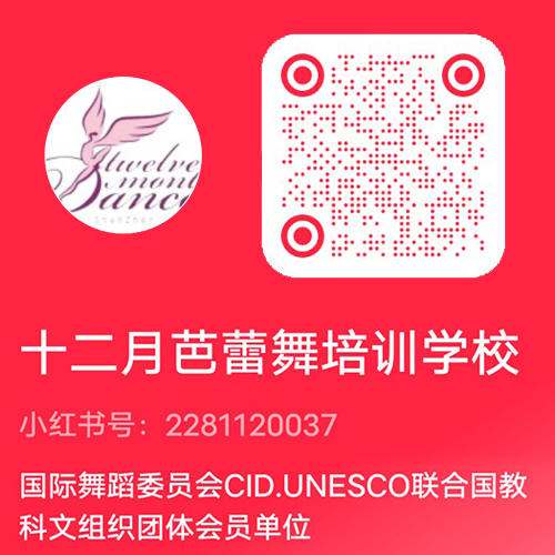 关注深圳市十二月舞蹈艺术团小红书