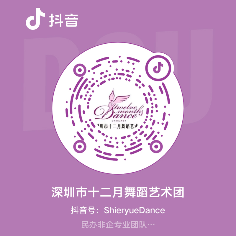关注深圳市十二月舞蹈艺术团抖音