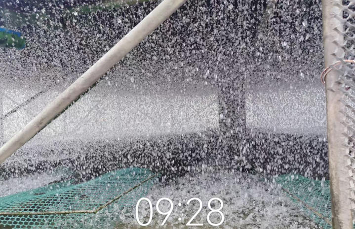 空调水系统清洗与维护技术：冷冻水系统、冷却水系统清洗及冷却塔填料更换-空调水系统清洗-冷却水填料清洗