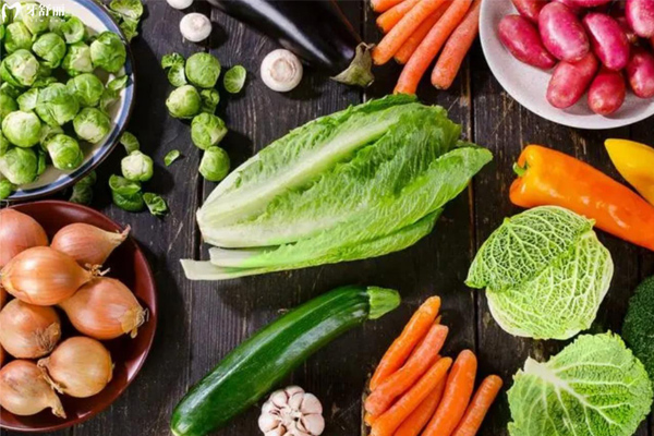 龙岗餐饮食材配送行业研究报告