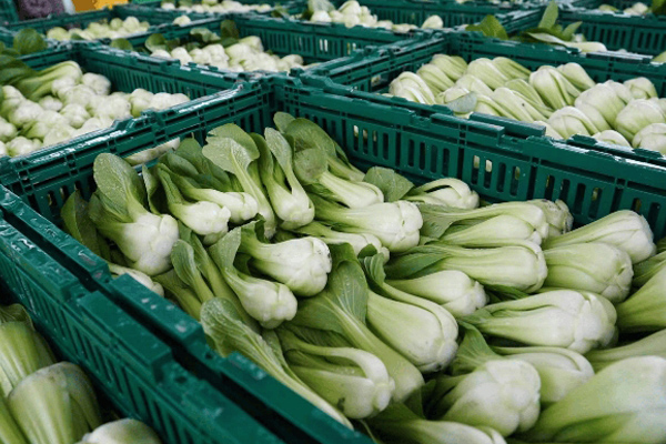 龙岗蔬菜配送公司如何让食堂食材新鲜实惠