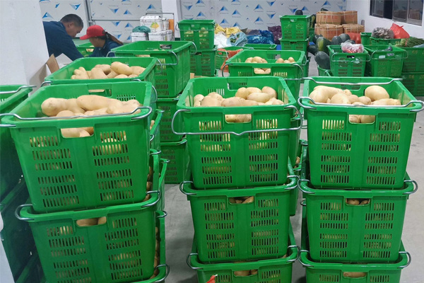 蔬菜配送中心的作业需要配备哪些设施?